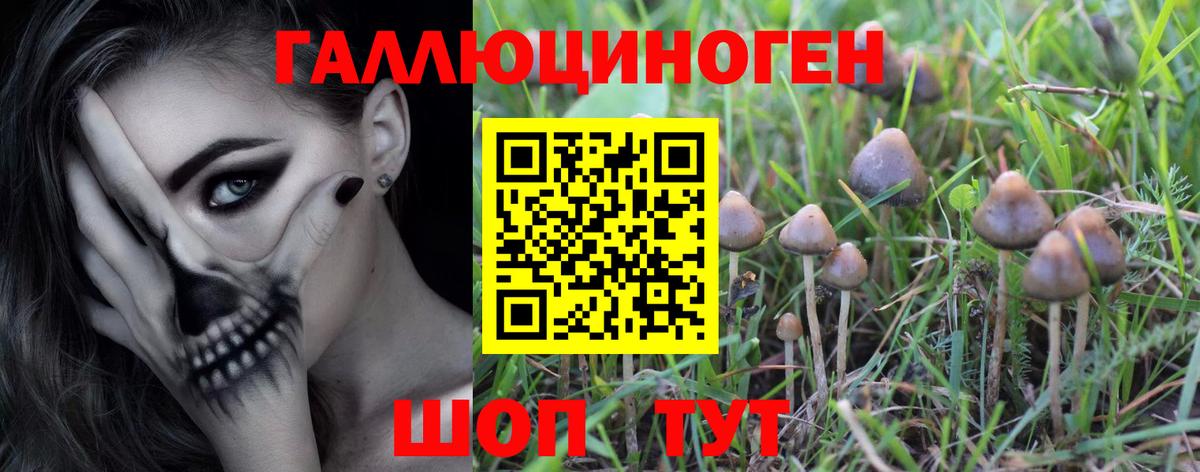 Междуреченск  Галлюциногенные грибы мухоморы  что такое   Вход с VPN 